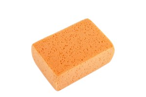 Svamp orange