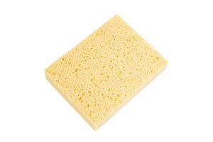 Svamp Sponge nr. 8